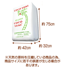 coco_pack01
